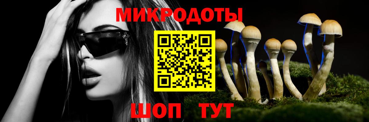 Малгобек  Псилоцибиновые грибы мухоморы  Вход с VPN  Галлюциногенные грибы прущие грибы 